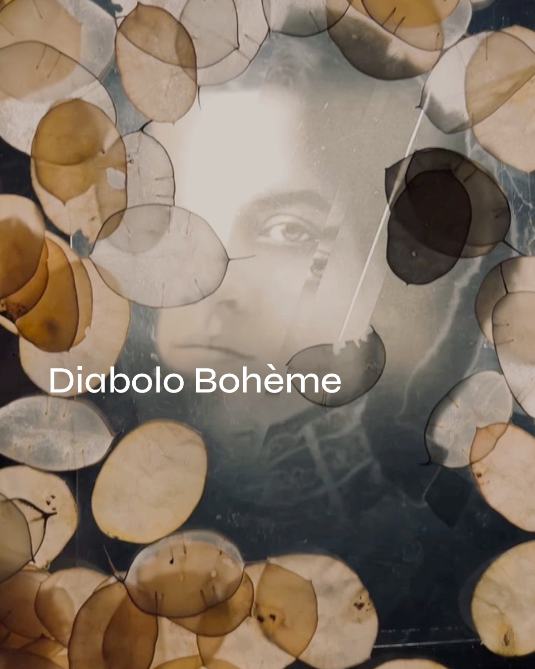 Diabolo Bohème